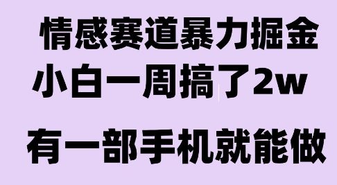 情感暴力掘金项目，新人操作一周挣了2W，长期稳定小白可做【揭秘】-翻身站