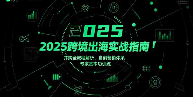 2025跨境出海实战指南，并购全流程解析，自创营销体系，专家基本功训练-翻身站