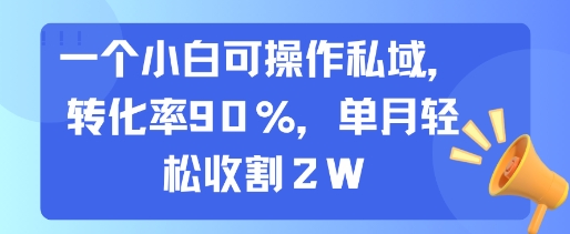 一个小白可操作私域，转化率90%，单月轻松收割2W-翻身站