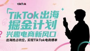 TikTok出海掘金计划，兴趣电商新风口，出海抢占坑位，实现TikTok电商爆单-翻身站