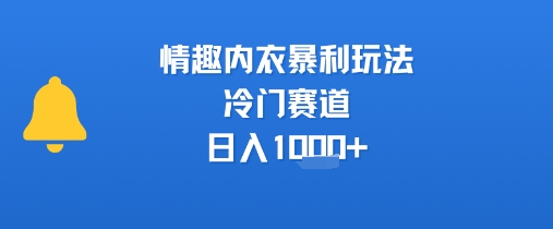情趣内衣暴利玩法，冷门赛道，日入1k+-翻身站