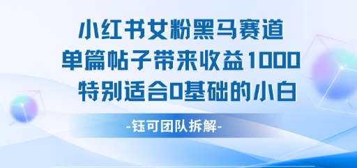 小红书女粉黑马赛道单篇帖子带来收益1k+，特别适合0基础的小白-翻身站