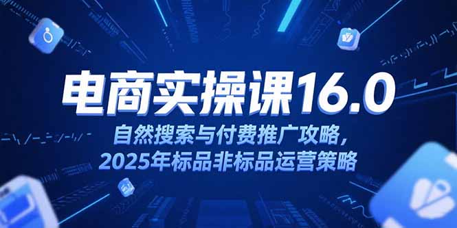 淘宝电商运营课16.0，自然搜索与付费推广攻略，2025年标品非标品运营策略-翻身站