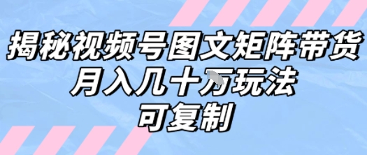 解密视频号图文矩阵带货，月入几个W的打法，可复制-翻身站