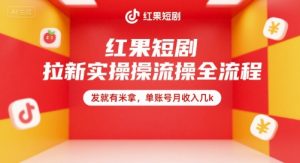 红果短剧拉新实操全流程，发就有米拿，单账号月收入几k-翻身站