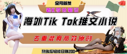 海外tiktok小说推文暴力项目，高停留率，高转化率，上手后一天搞顿饭钱不是问题-翻身站