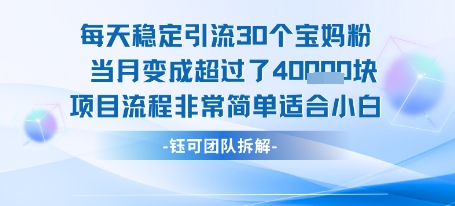 每天稳定引流30个人 当月变成超过了4个W项目流程非常简单适合小白-翻身站