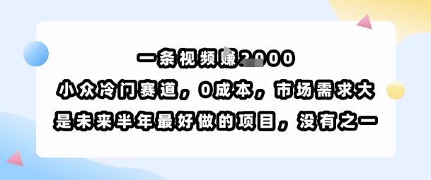 一条视频挣1k，小众冷门赛道，0成本，市场需求大，是未来半年最好做的项目，没有之一-翻身站