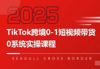 大亿老师·TikTok跨境0-1短视频带货-翻身站
