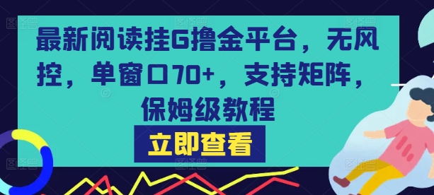 最新阅读挂G撸金平台，无风控，单窗口70+，支持矩阵，保姆级教程【揭秘】-翻身站