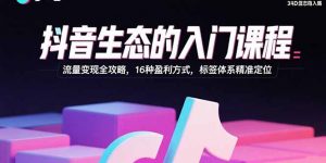 抖音生态的入门课程：流量变现全攻略，16种盈利方式，标签体系精准定位-翻身站