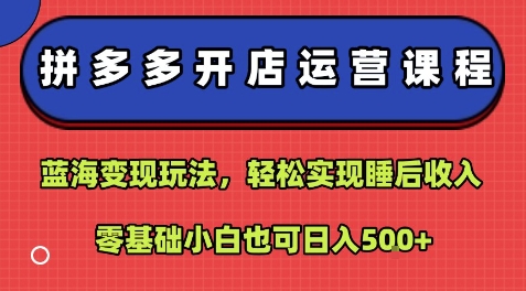 拼多多开店运营课程：蓝海变现玩法，轻松实现睡后收入，零基础小白也可日入5张-翻身站