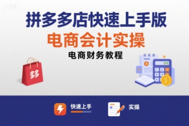 拼多多店快速上手版电商会计实操-电商财务教程-翻身站