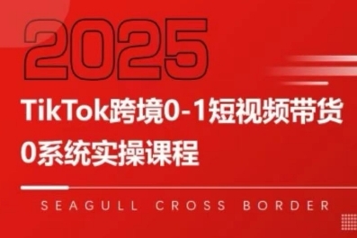 TikTok跨境0-1短视频带货，系统拆解TikTok跨境带货全链路，实现跨境可持续盈利-翻身站