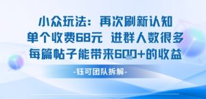 小众玩法再次刷新认知单个收费68米进群人数很多每篇帖子能带来6张的收益-翻身站