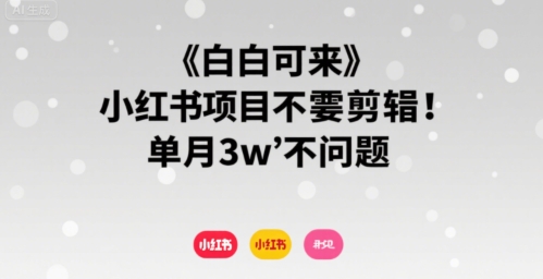 小白可来 小红书项目不需要剪辑 单月3w不是问题-翻身站