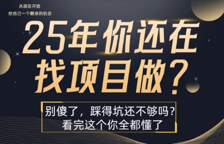 25年，你还在疯狂的找项目吗？别傻了，看完这个你都懂了【揭秘】-翻身站