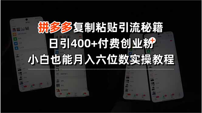 拼多多复制粘贴引流秘籍，日引400+付费创业粉，小白也能月入六位数实操…-翻身站