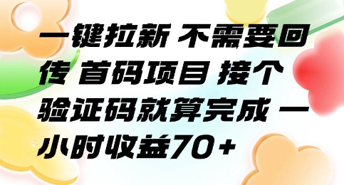 一键拉新 不需要回传 首码项目 接个验证码就算完成 一小时收益70+【揭秘】-翻身站
