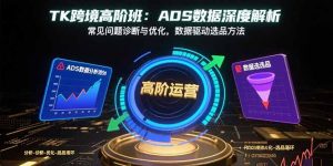TK跨境高阶班：ADS数据深度解析，常见问题诊断与优化，数据驱动选品方法-翻身站