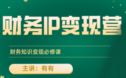 有有老师·财务IP变现营，财务知识变现必修课-翻身站