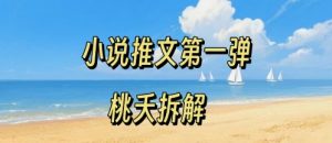 小说推文项目操作全流程第一弹，0粉就能做，门槛低非常适合新手-翻身站