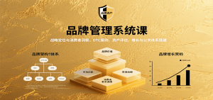 品牌管理系统课：战略定位与消费者洞察，DTC案例、资产评估，增长与公关体系搭建-翻身站