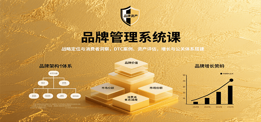 品牌管理系统课：战略定位与消费者洞察，DTC案例、资产评估，增长与公关体系搭建-翻身站
