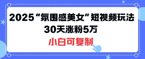不露脸也能火！2025“氛围感美女”短视频玩法，30天涨粉5W小白可复制-翻身站