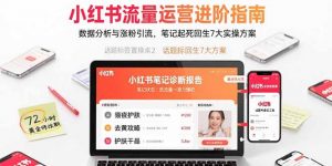 小红书流量运营进阶指南，数据分析与涨粉引流，笔记起死回生7大实操方案-翻身站