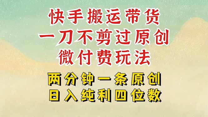 快手黑科技搬运带货，一刀不剪过原创，微付费投流玩法，轻松日入四位数…-翻身站