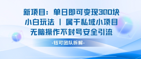 新项目单日即可变现3张的小白玩法无脑操作不封号安全引流-翻身站