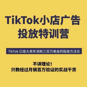 TikTok小店广告投放特训营，6天破局计划专治各种“投不动”，教你经过月销百万验证的实战干货-翻身站