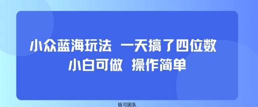 小众蓝海玩法 一天搞了四位数 小白可做 操作简单-翻身站