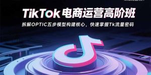 TikTok电商运营高阶班：拆解OPTIC五步模型构建核心，快速掌握Tk流量密码-翻身站