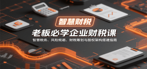 老板必学企业财税课：智慧税务、风险规避、财税筹划与股权架构搭建指南-翻身站