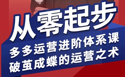 拼多多运营进阶系统课，从零起步，多多运营进阶体系课，破茧成蝶的运营之术-翻身站
