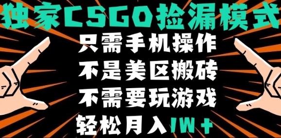 CSGO自动捡漏项目，最新独家玩法，不是美区搬砖，不需要了解和玩游戏，新手小白轻松月入1W+【揭秘】-翻身站