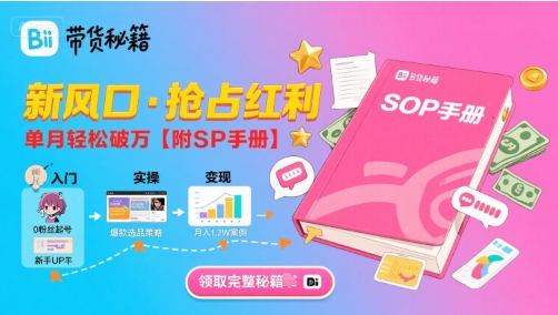 B站哔哩哔哩带货秘籍，新风口，抢占红利，单月轻松破万【附SOP手册】-翻身站
