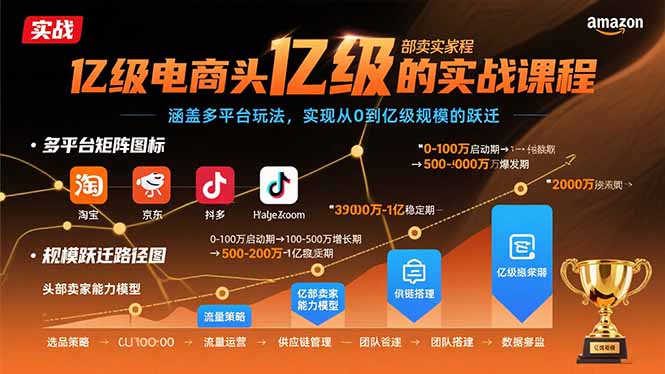 亿级电商头部卖家的实战课程：涵盖多平台玩法，实现从0到亿级规模的跃迁-翻身站
