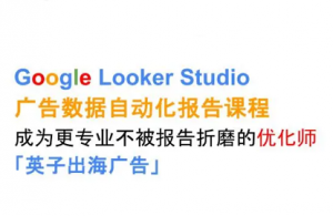 英子出海广告·Google Looker Studio从新手到高手-翻身站