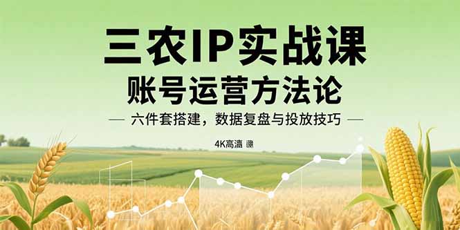 三农IP实战课：账号运营方法论，六件套搭建，数据复盘与投放技巧-翻身站