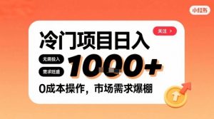 在小红书上发现个冷门路子，需求不小，零成本操作，每天能有1k进账-翻身站