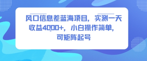 风口信息差蓝海项目，实测一天收益4k+，小白操作简单，可矩阵起号-翻身站
