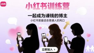 小红书训练营一起成为賺钱的博主，小红书是最适合普通人的风口-翻身站