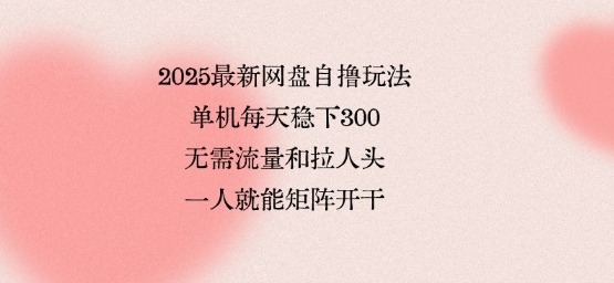 2025最新网盘自撸玩法，单机每天稳下3张，无需流量和拉人头，一个人就可轻松矩阵，全网独一份【揭秘】-翻身站