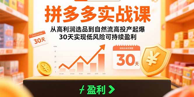拼多多实战课：从高利润选品到自然流高投产起爆 30天实现低风险可持续盈利-翻身站