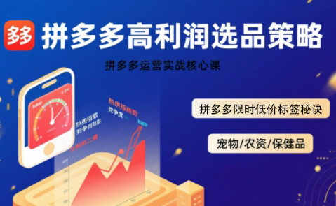 久号老师·拼多多选品暴利技术实战课-翻身站