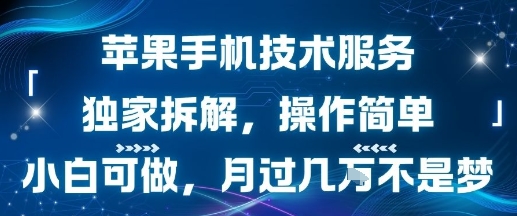 苹果手机技术服务，独家拆解，操作简单，小白可做，月过1W不是梦-翻身站
