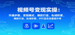 视频号变现实操,含开通步骤、变现模式、爆款打造、私域积累、IP打造及流量提升等-翻身站